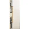 Aktenschrank mit Regal Rascian