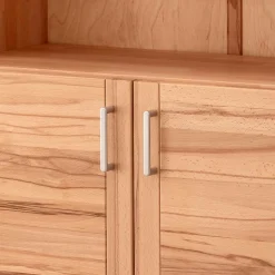 Aktenschrank mit Türen Feliana