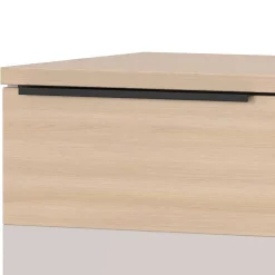 Aktenschrank Sanu