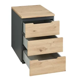 Arbeitszimmermöbel 9teilig Esdravos
