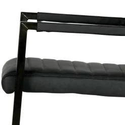 Armlehnen Freischwinger Davadus