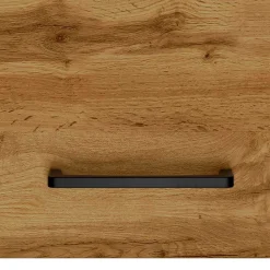 Bad Oberschrank Longos