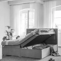 Box Bett Arabico