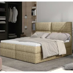 Box Bett Crimus