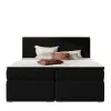 Box Bett Root