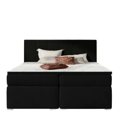 Box Bett Root