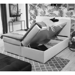 Box Bett Root