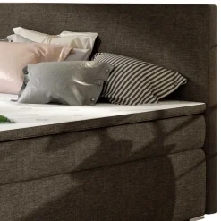 Boxbett Purkina