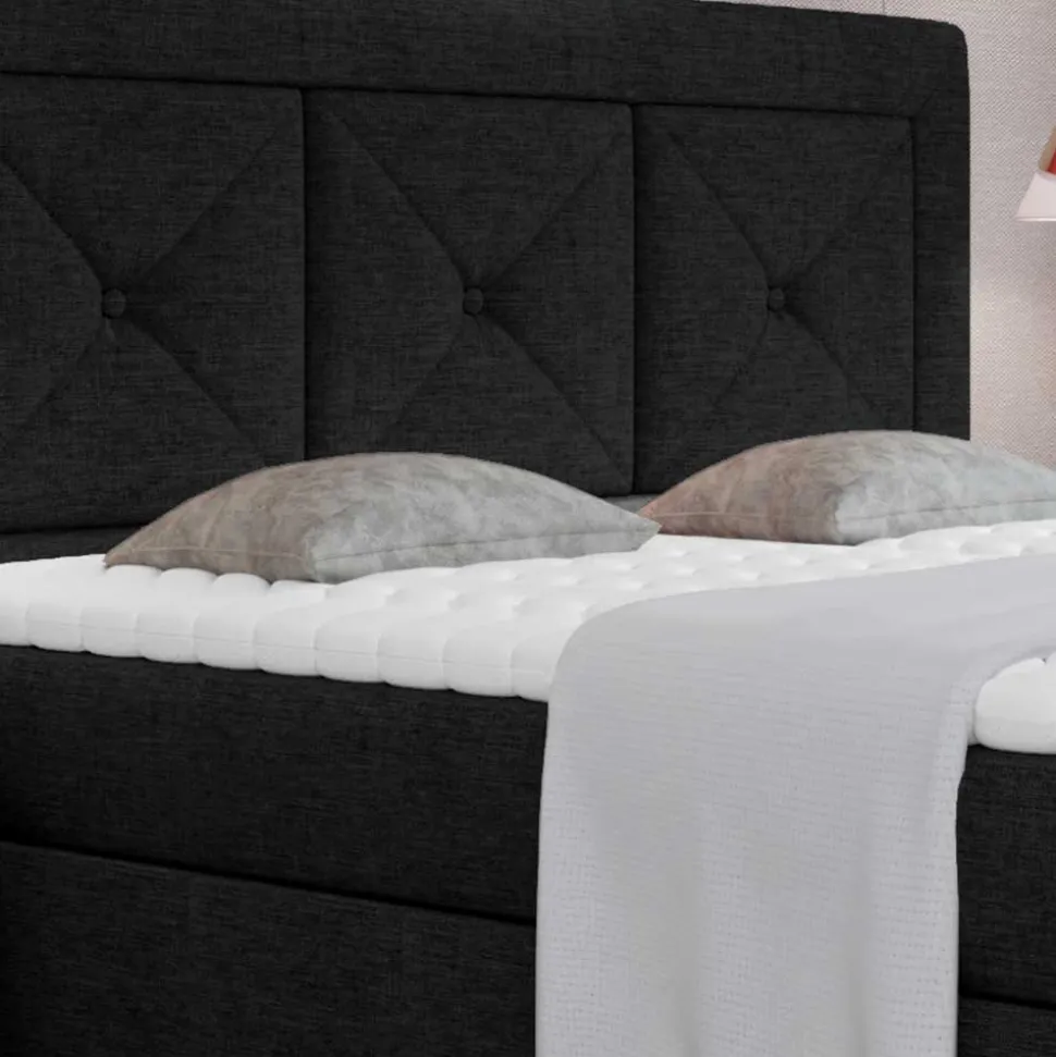 Boxbett Xenata
