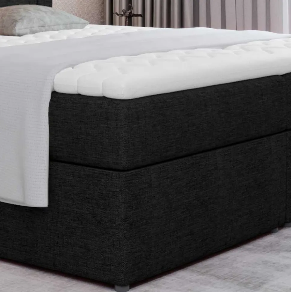 Boxbett Xenata