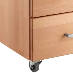 Bürorollcontainer Len