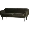 Couch Adamsa
