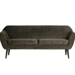 Couch Adamsa