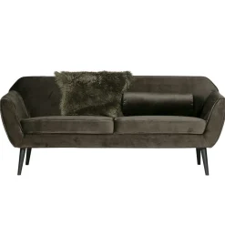 Couch Adamsa