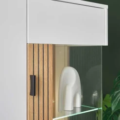 Fernseher Schrankwand modern Saladd