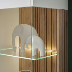 Fernseher Schrankwand modern Saladd