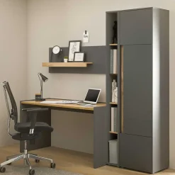 Moderne Bürokombination Uzniana