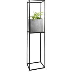 Pflanzensäule Centauro