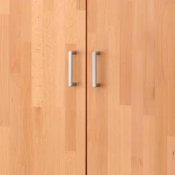 Schrank Büro Massivholz Len