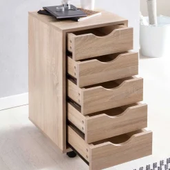 Schreibtischrollcontainer Vilas