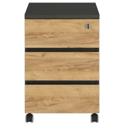 Schreibtischrollcontainer Charin
