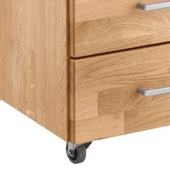 Schreibtischrollcontainer Legancas