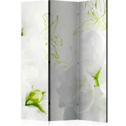 Spanische Wand Daroncas