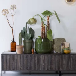 TV Lowboard Foliage