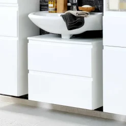 Unterbeckenschrank Lectrio