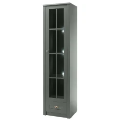 Vitrine Clujia