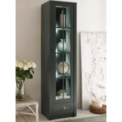 Vitrine Clujia