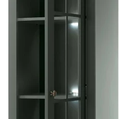 Vitrine Clujia