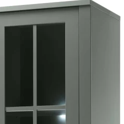 Vitrine Clujia