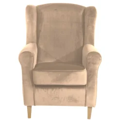 Wohnzimmer Ohrensessel Luenza