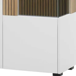 Wohnzimmer Schrankwand Saladd